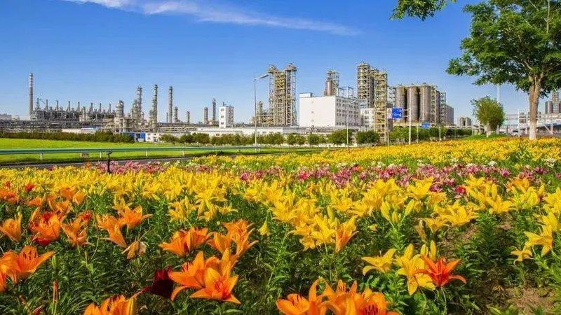 防水胶粘剂为何总在潮湿环境下失效